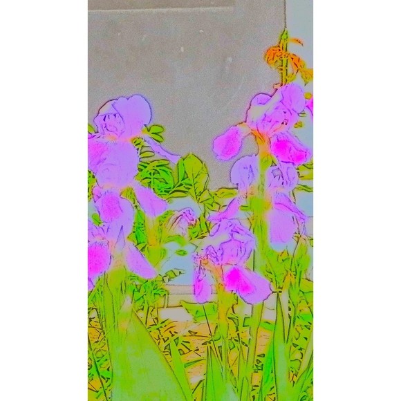 Four 8 by 10 Prints of My Iris Series of digitally enhance Photographs Signed - Picture 2 of 4